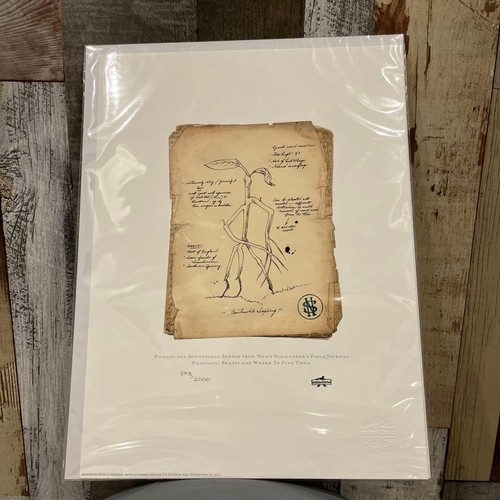 Harry potter fantastic - harry,